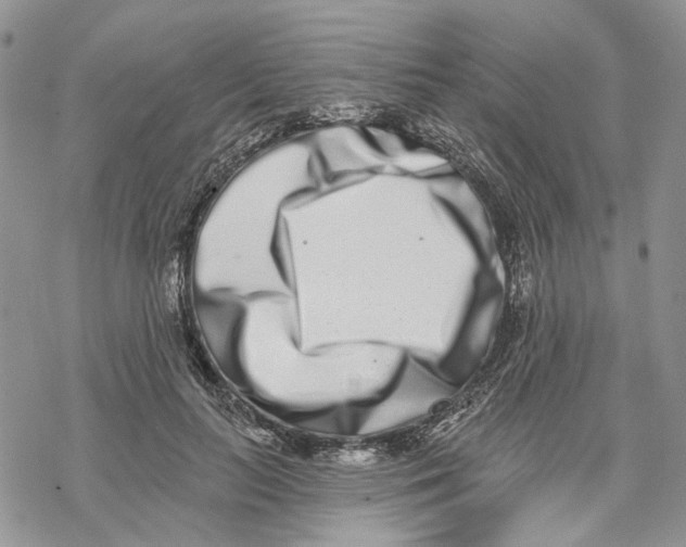 X0000069820647200606091422