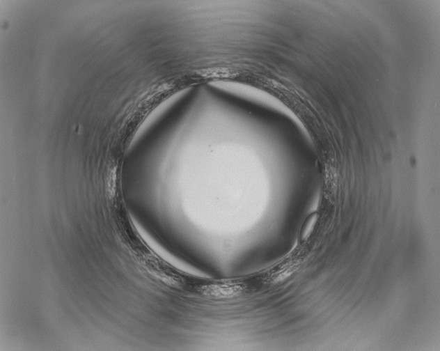 X0000069820652200606091422
