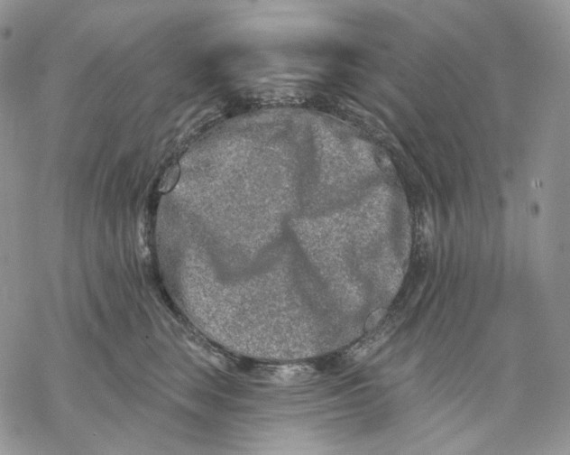 X0000069820663200606091422