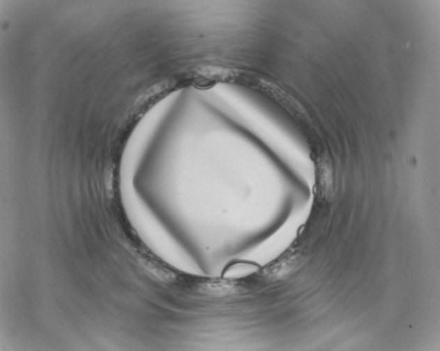 X0000069820668200606091422