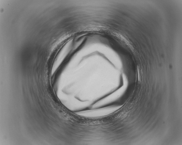 X0000069820675200606091421