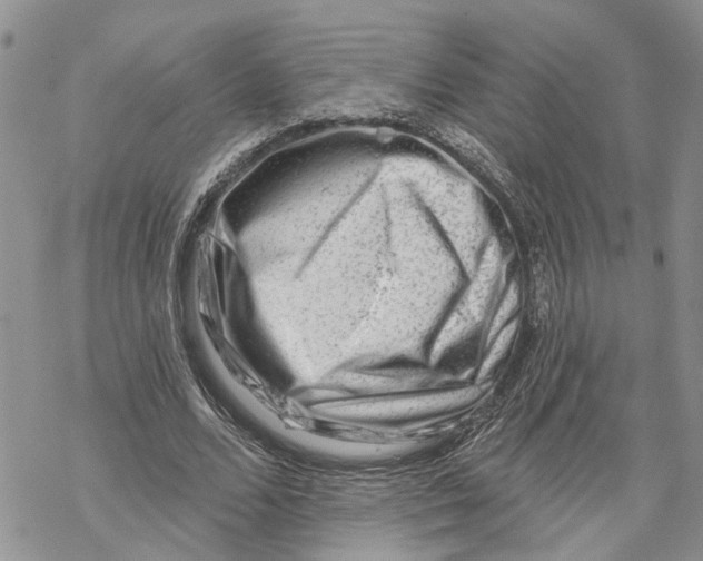 X0000069820680200606091421