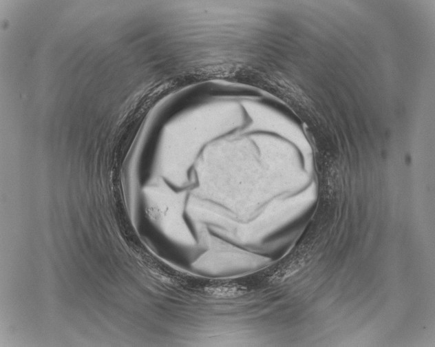 X0000069820693200606091421