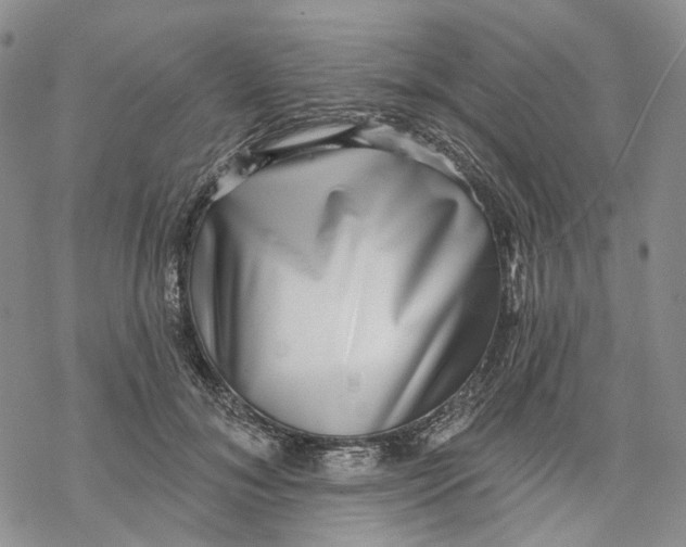 X0000069820700200606091421