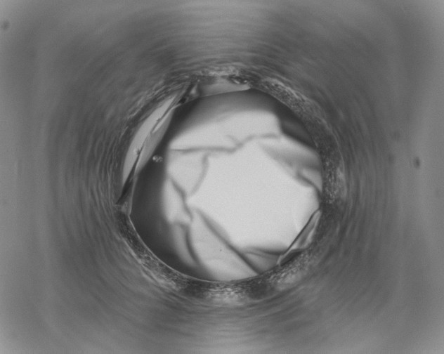 X0000069820704200606091421