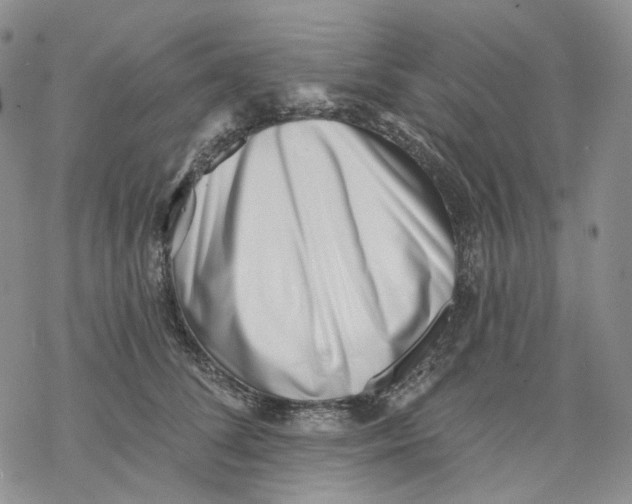 X0000069820708200606091421