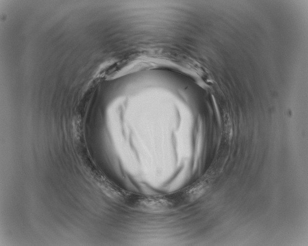 X0000069820712200606091421