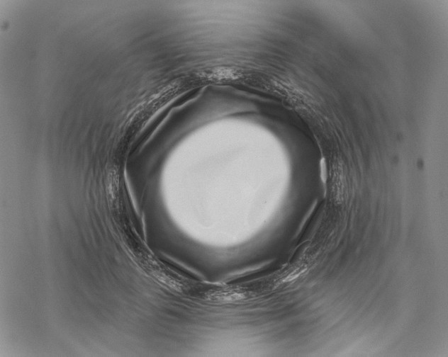 X0000069820747200606091420