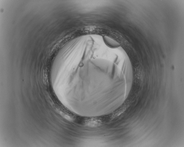 X0000069820754200606091420