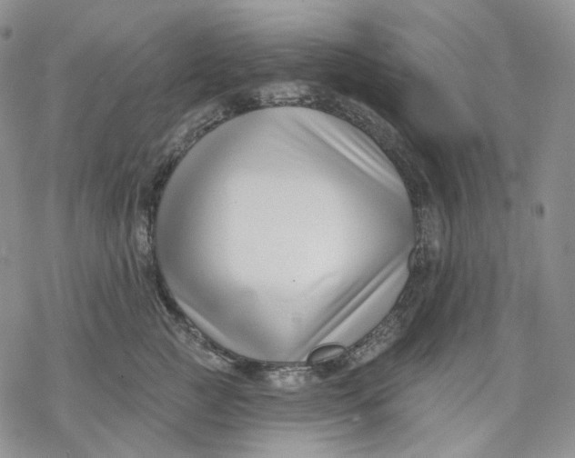 X0000069820761200606091421