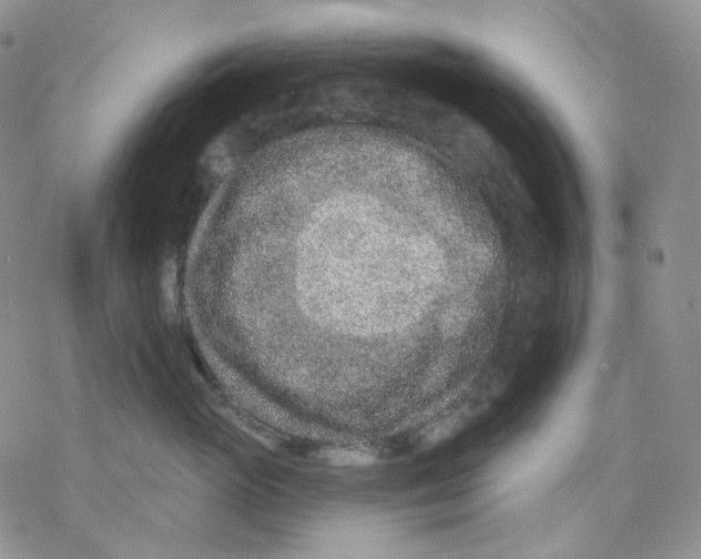 X0000069820765200606091421