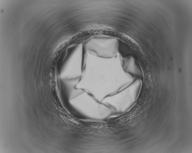 X0000069820775200606091420