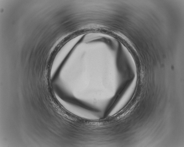 X0000069820783200606091420
