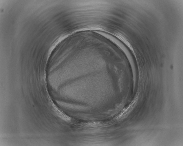 X0000069820797200606091419