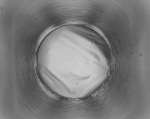 X0000069820811200606091419