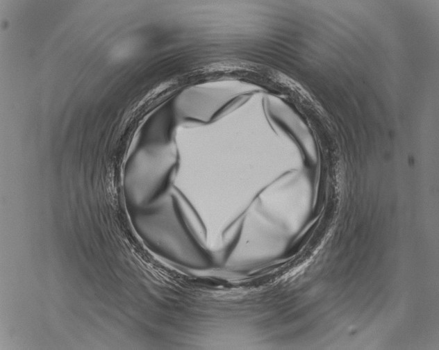 X0000069820825200606091418