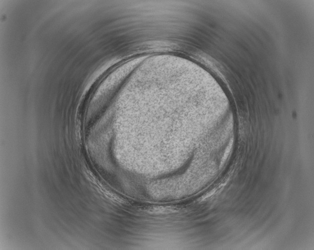 X0000069820835200606091419