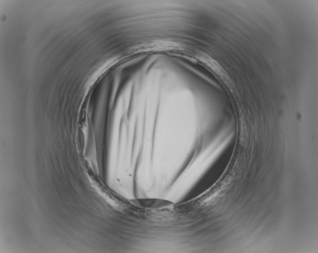 X0000069820850200606091419