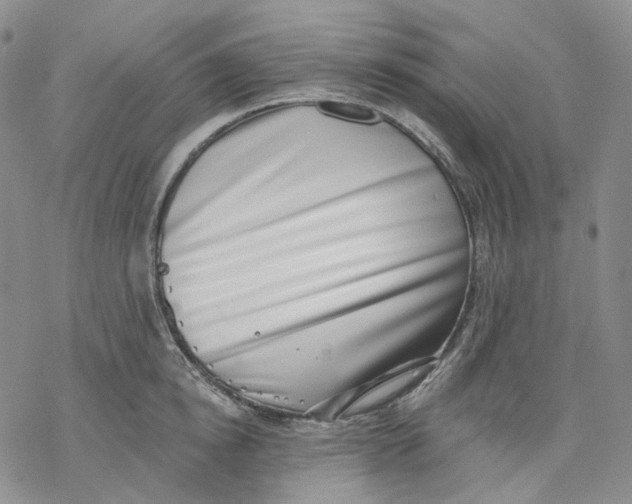 X0000069820854200606091419