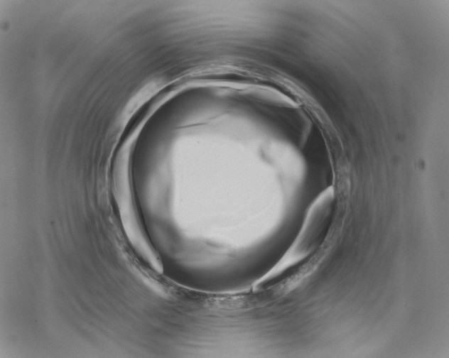 X0000069820858200606091419