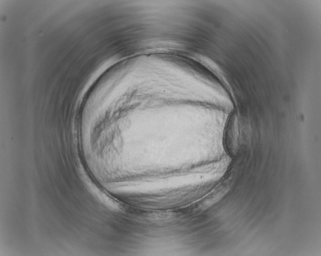 X0000069820859200606091419