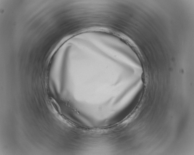 X0000069820860200606091419