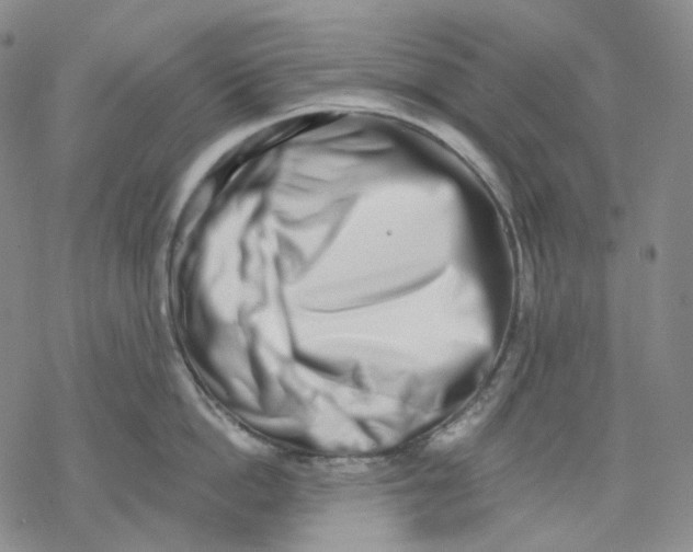X0000069820862200606091419