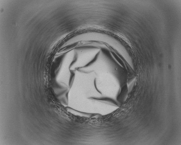 X0000069820872200606091418