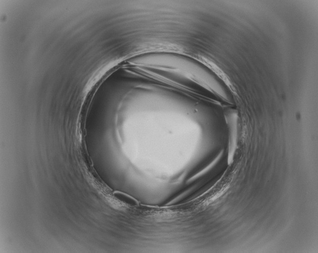 X0000069820885200606091418