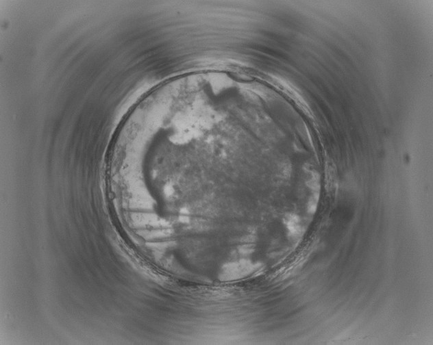 X0000069820899200606091418
