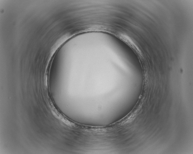 X0000069820900200606091418