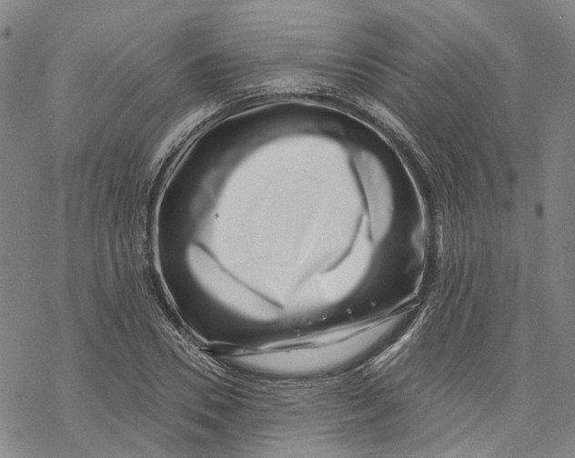 X0000069820930200606091417