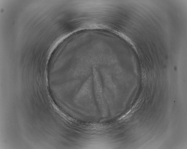 X0000069820935200606091417