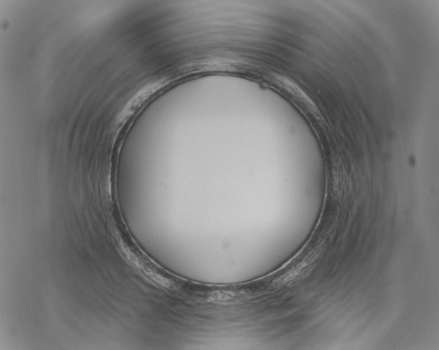X0000069820938200606091417