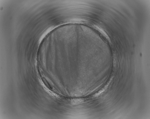 X0000069820944200606091417