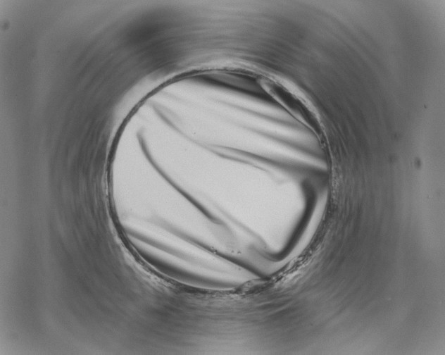 X0000069820951200606091417