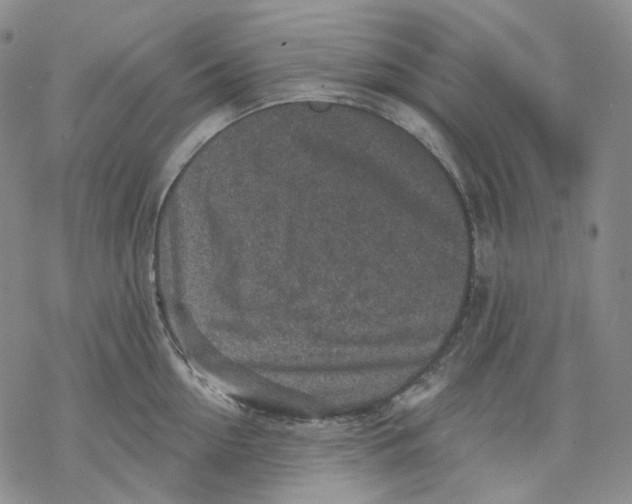 X0000069820954200606091417