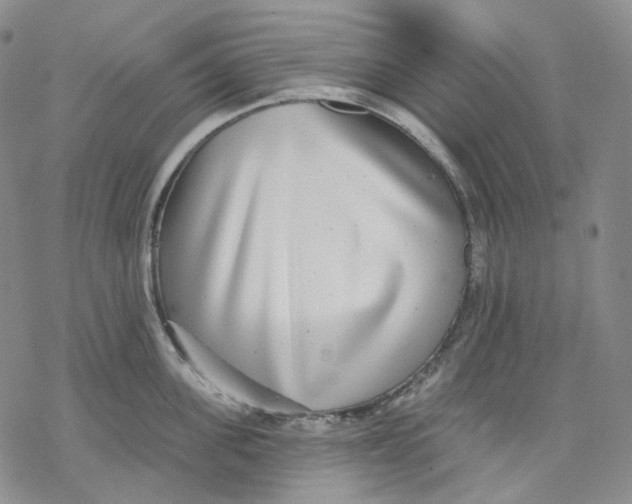 X0000069820955200606091417