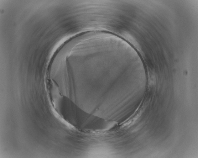 X0000069820958200606091418