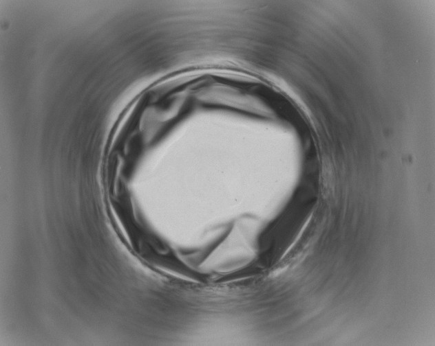 X0000069820959200606091418