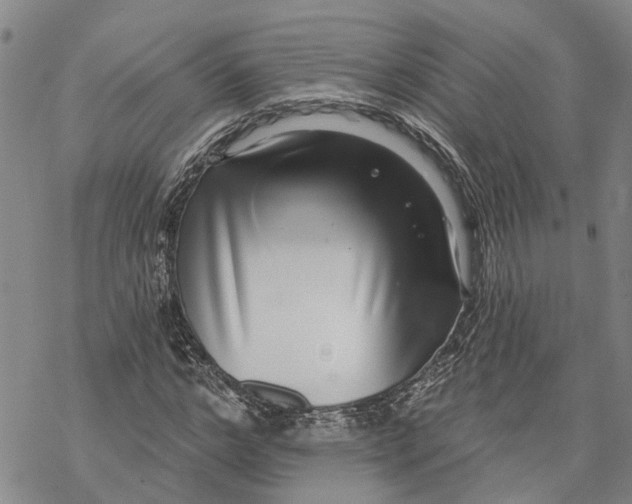 X0000069820968200606091417
