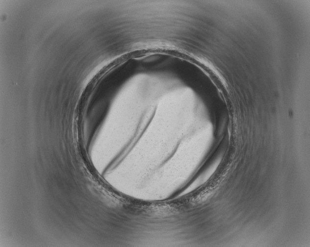 X0000069820983200606091416
