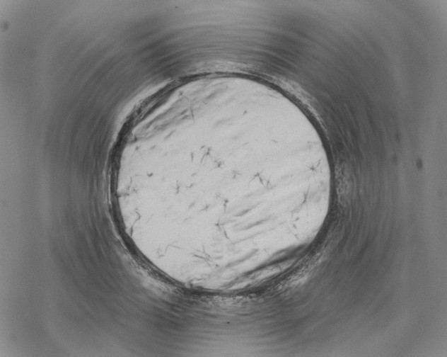 X0000069820987200606091416
