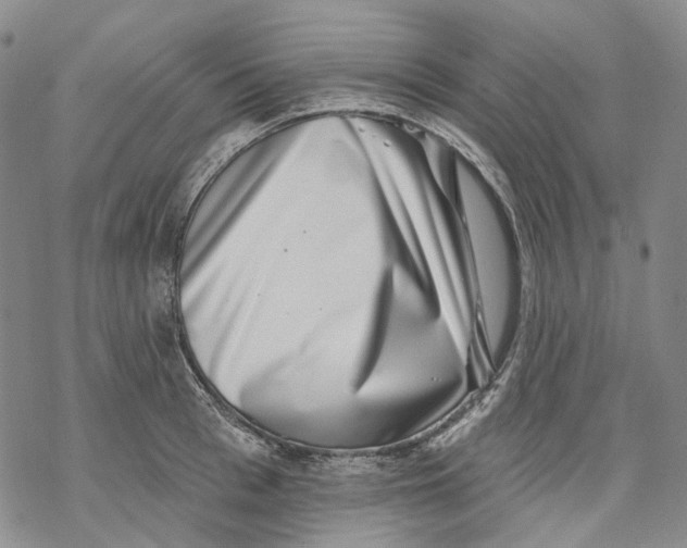 X0000069820993200606091416