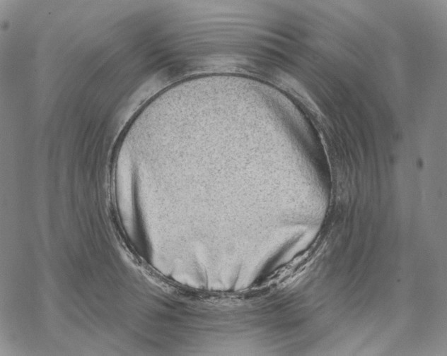 X0000069820994200606091416