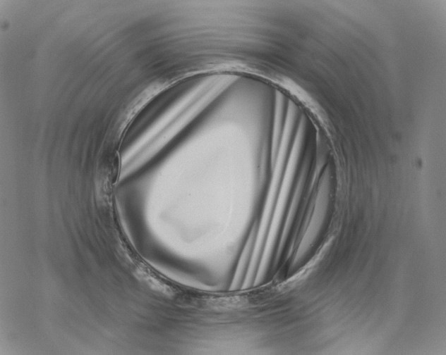 X0000069821001200606091416