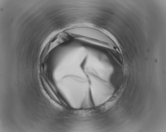 X0000069821005200606091416