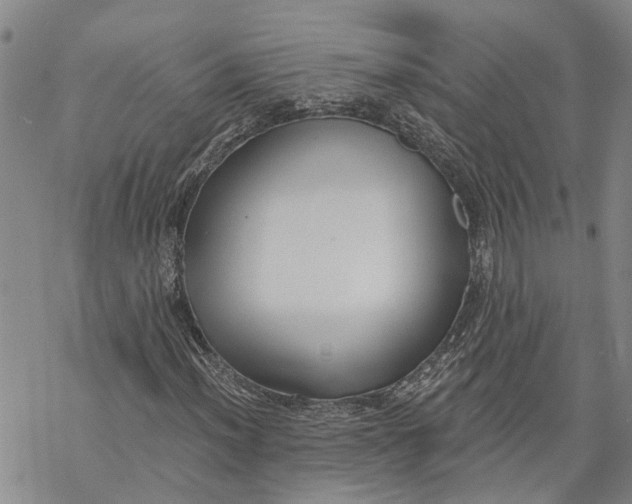 X0000069821012200606091415