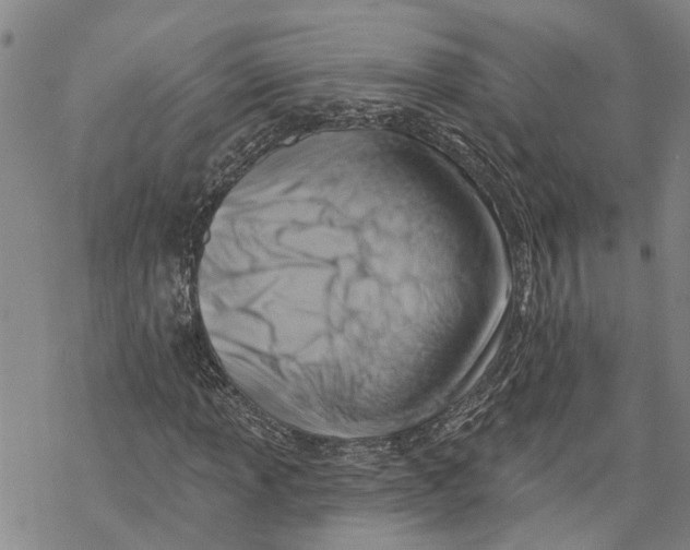 X0000069821013200606091415