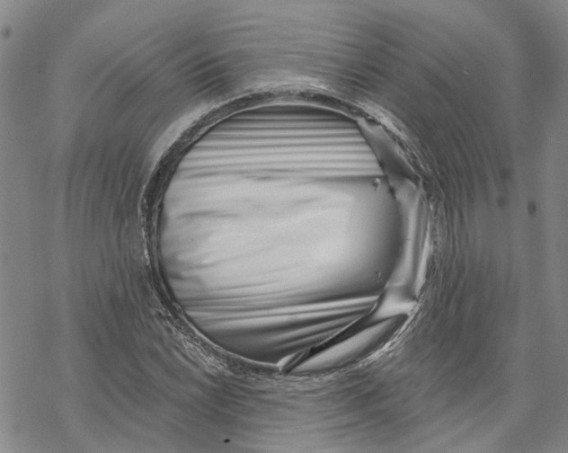 X0000069821022200606091415